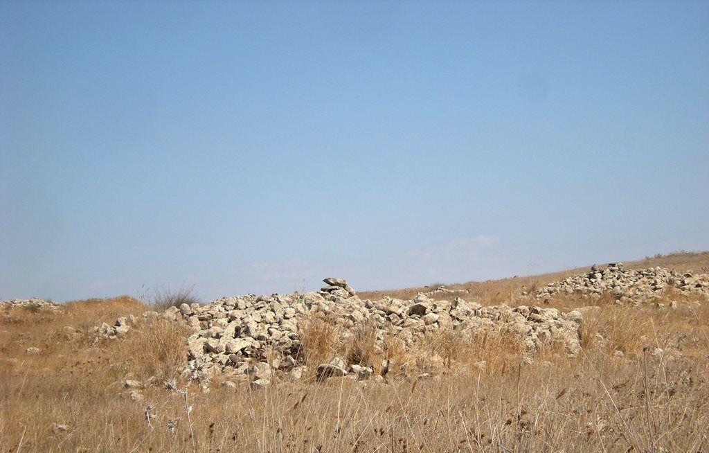 Dolmen field near Natur on the Golan Heights Dolmen field near Natur on the Golan Heights 