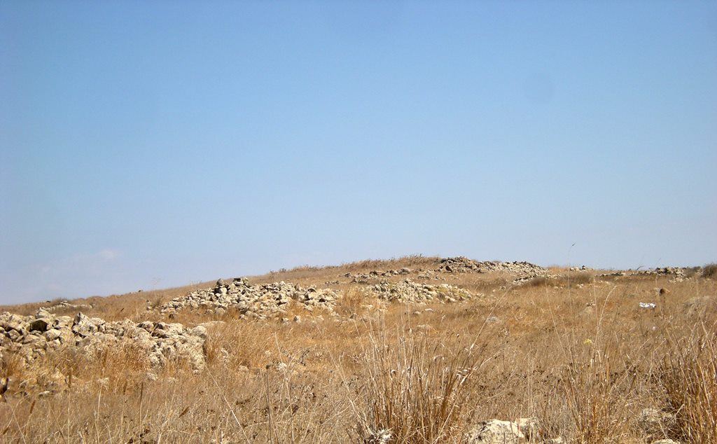 Dolmen field near Natur on the Golan Heights 