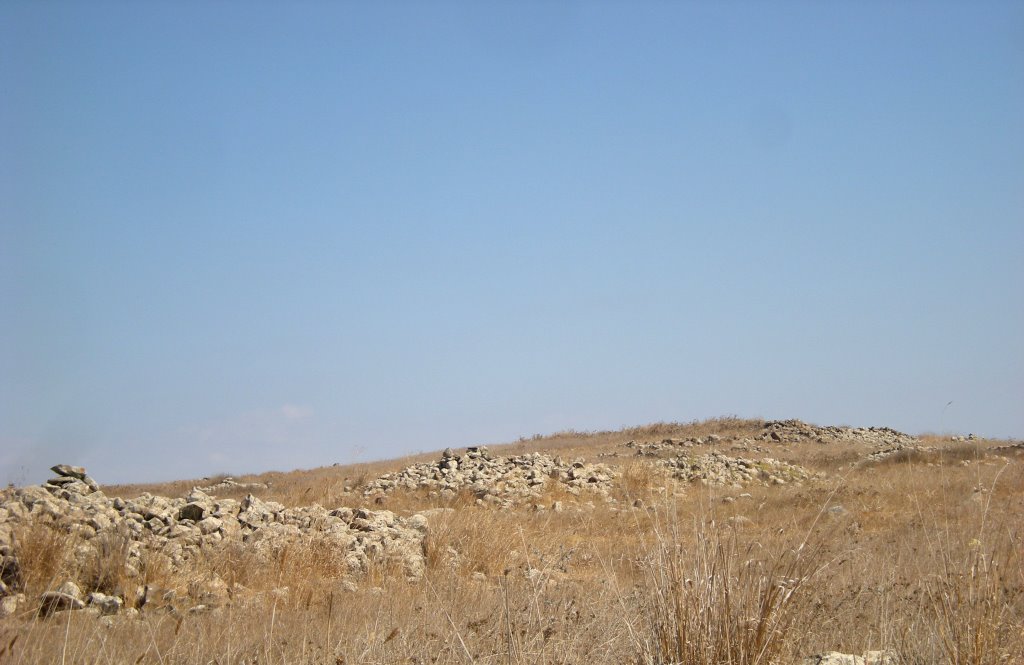 Dolmen field near Natur on the Golan Heights 