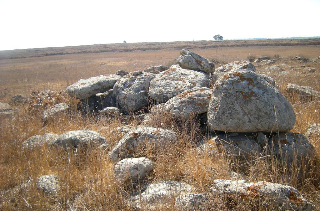 Dolmen field near Natur on the Golan Heights 