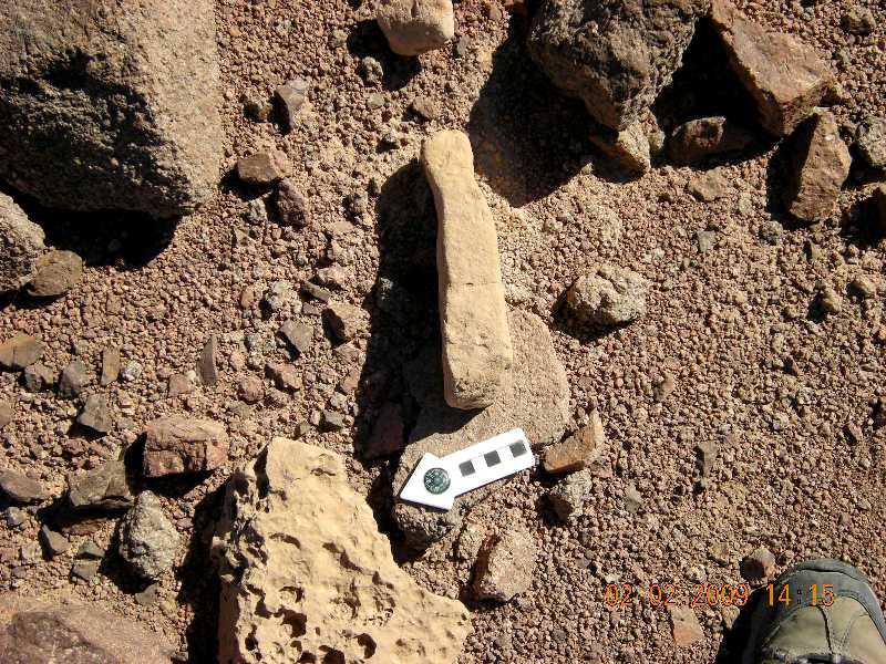Roded cult sites