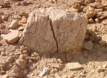 North of Wadi Shani Masseboth