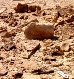 Sayarim Valley E' 