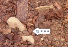 Yedidyah pass Roded type cult site