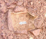 Yedidyah pass Roded type cult site