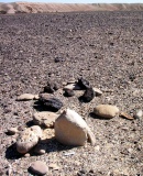upper wadi Hayun