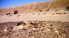 upper wadi Hayun