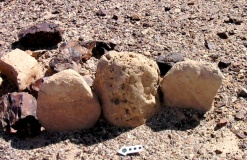 upper wadi Hayun