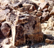 upper wadi Hayun