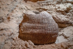 The 10,500-year-old basket as found in Muraba‘at Cave. (photo credit: YANIV BERMAN/IAA)