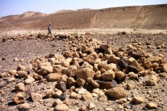 Wadi Paran ancient agriculture terraces, matseboth and Rock art