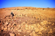 Click for full size image of Wadi Paran ancient agriculture terraces, matseboth and Rock art (PID:152973) Wadi Paran ancient agriculture terraces, matseboth and Rock art