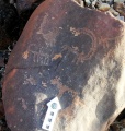 Click for full size image of Wadi Paran ancient agriculture terraces, matseboth and Rock art (PID:152975) Wadi Paran ancient agriculture terraces, matseboth and Rock art