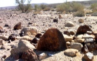 Click for full size image of Wadi Paran ancient agriculture terraces, matseboth and Rock art (PID:152986) Wadi Paran ancient agriculture terraces, matseboth and Rock art