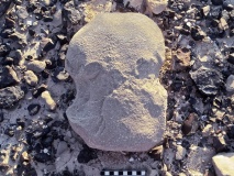 East Upper Wadi Paran Matseboth 