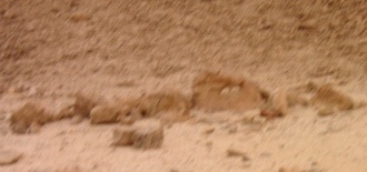 lower wadi Qtura