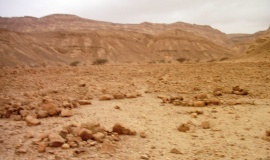 lower wadi Qtura
