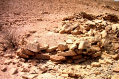 Wadi Anaka Habitation site & Predators Trap