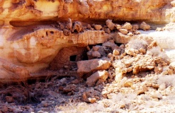 Wadi Anaka Habitation site & Predators Trap