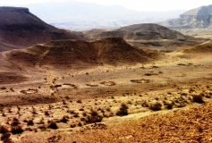 Wadi Anaka Habitation site & Predators Trap