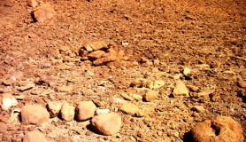wadi 'Arod tributary (1)