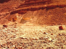 wadi 'Arod tributary (1)
