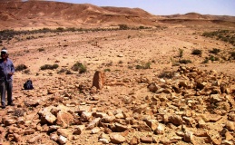 wadi 'Arod tributary (1)