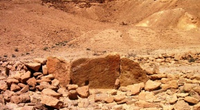 wadi 'Arod tributary (2)