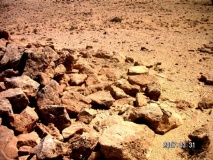 wadi 'Arod tributary (3)