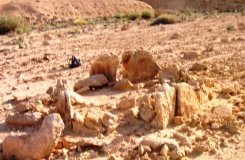wadi 'Arod tributary (5)