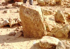 wadi 'Arod tributary (5)