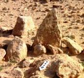 wadi 'Arod tributary (5)