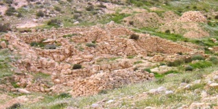 The Lost City