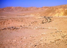 Wadi Betamim Matseboth