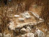 Tel Kadesh Naftali 