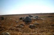 Dolmen field near Natur on the Golan Heights 