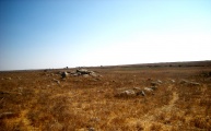 Dolmen field near Natur on the Golan Heights 