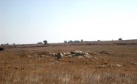 Dolmen field near Natur on the Golan Heights 