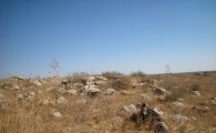 Dolmen field near Natur on the Golan Heights 