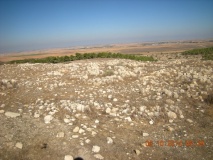 Khirbet Abu Hof (chaf) 