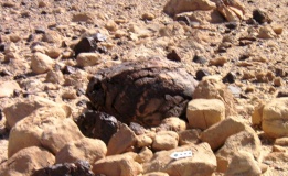 Eshel Paran Megalithic cult site
