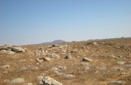 Dolmen field near Natur on the Golan Heights 