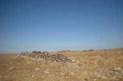 Dolmen field near Natur on the Golan Heights 