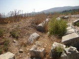 Tel Kadesh Naftali 