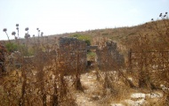 Tel Kadesh Naftali 
