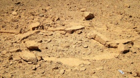 Wadi 'Isaron