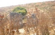 Tel Kadesh Naftali 