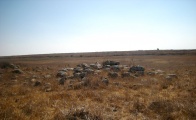 Dolmen field near Natur on the Golan Heights 