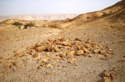 Wadi Paran tributary camp site & Tumuli 