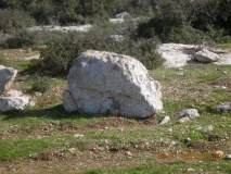 Tel Burgin